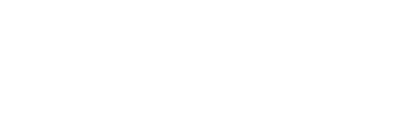 human security